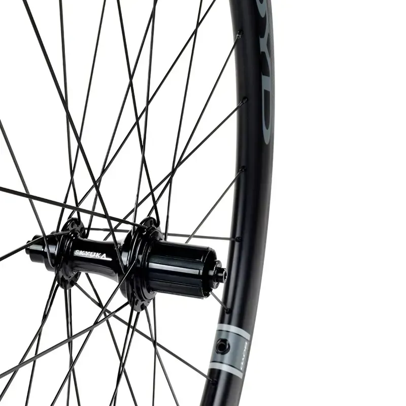 Prologue 44mm Rear-3