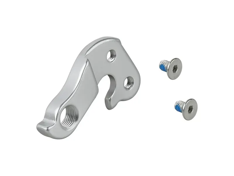 Electra Townie 2007+ 2-Bolt Derailleur Hanger in Gray