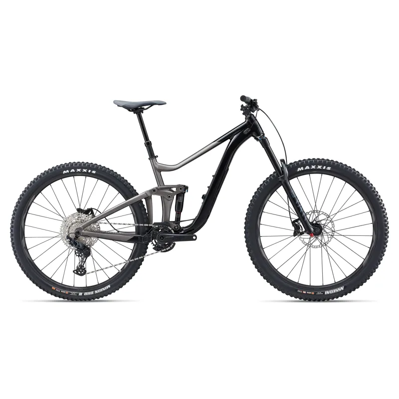 Giant Reign 2 Mountain Bike in Black/Metal