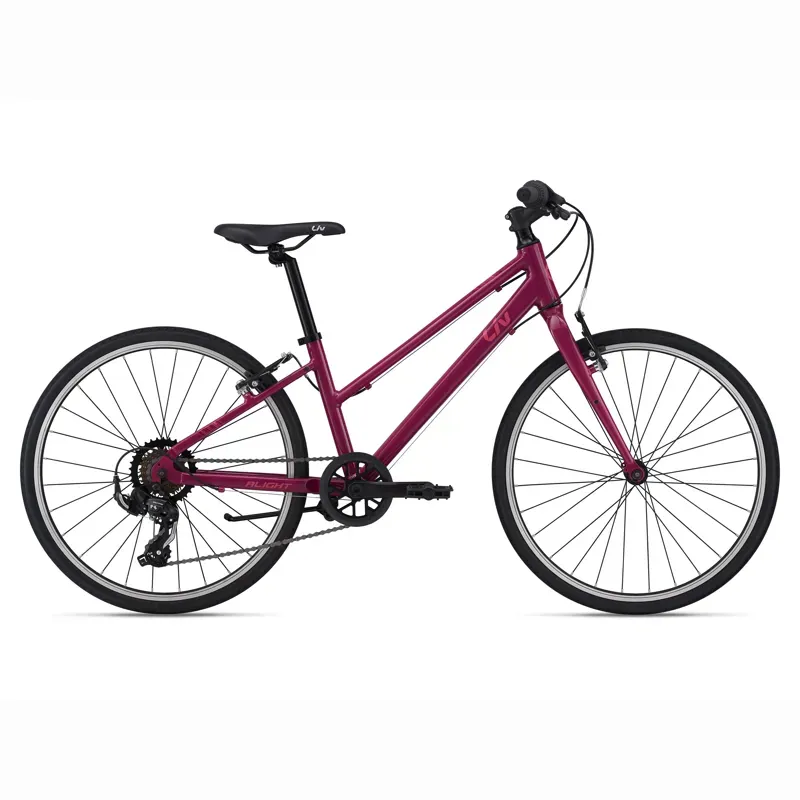 Liv Alight 24 Hybrid Bike in Purple