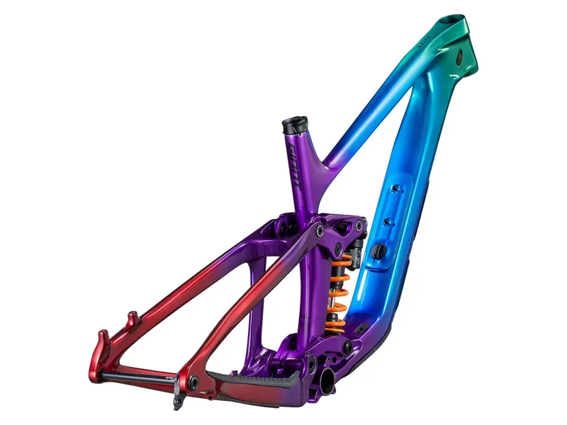 Giant Reign Advanced Frame MTB in Rainbow Sprayed-2