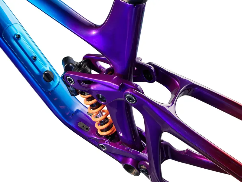 Giant Reign Advanced Frame MTB in Rainbow Sprayed-4