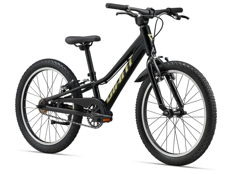 Giant Talon 20 SS Kids Bike in Black-1