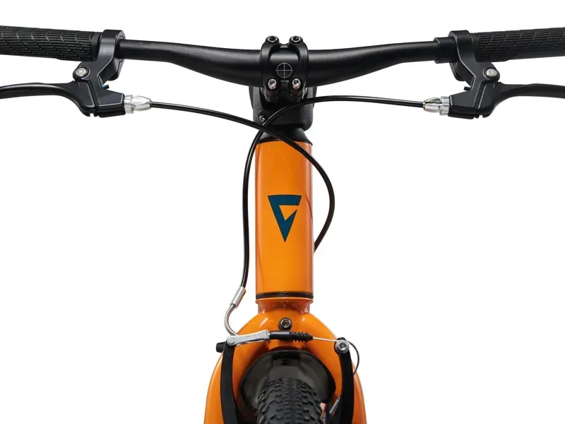 Giant Talon 20 SS Kids Bike in Sandstorm-4