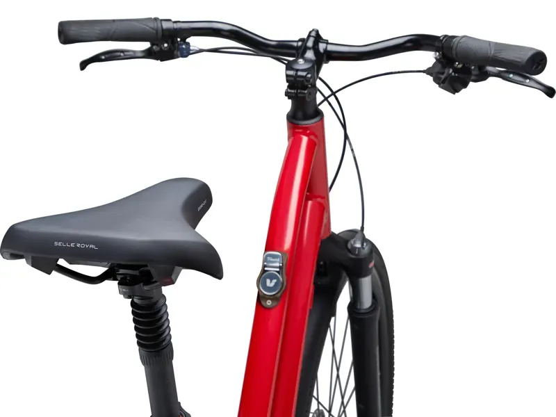 Liv Flourish FS Disk City Bike in Red Enamel-5