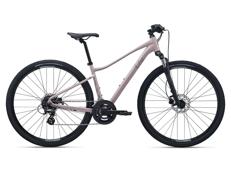 Liv Rove 4 Adventure Bike in Rosy Brown