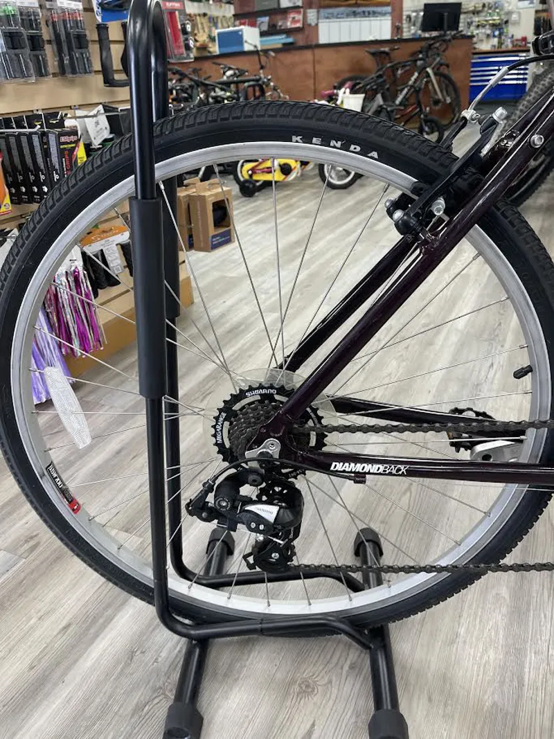 Diamondback Edgewood LX - 19-2