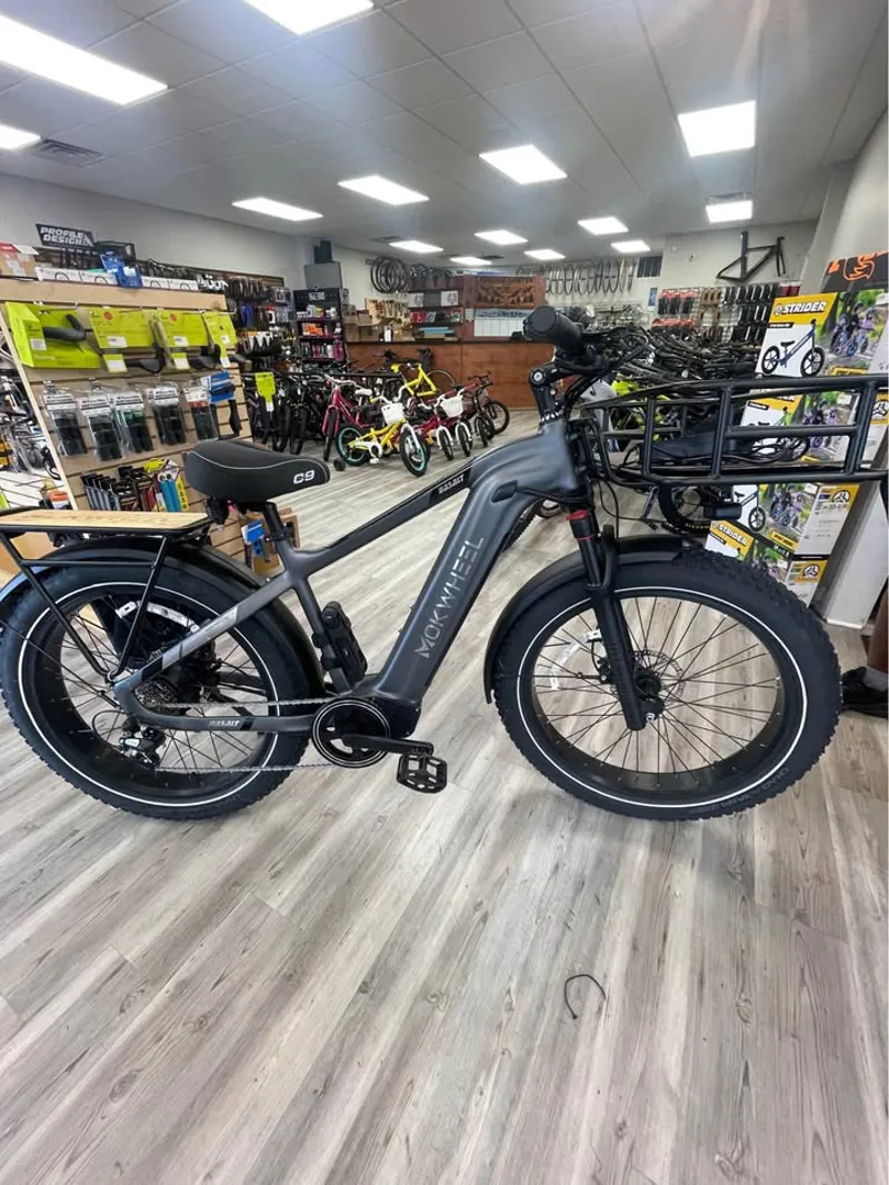 MOKWHEEL Basalt E-Bike with extras