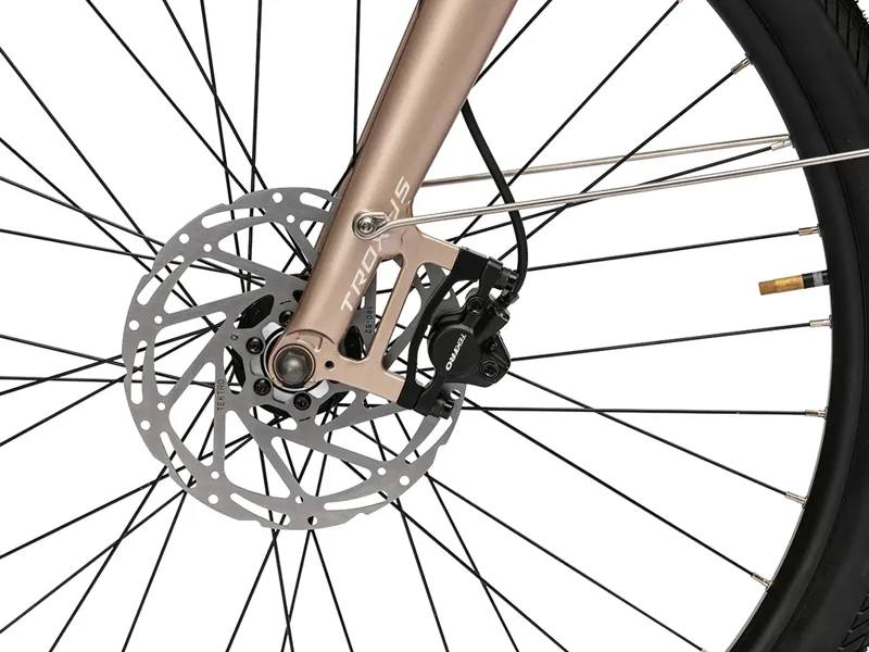 Troxus Trax Sport Mid Step Small in Bronze-6