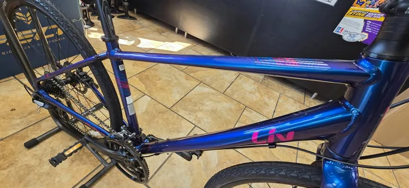 Liv Alight 2 Disc Small - Blue-2