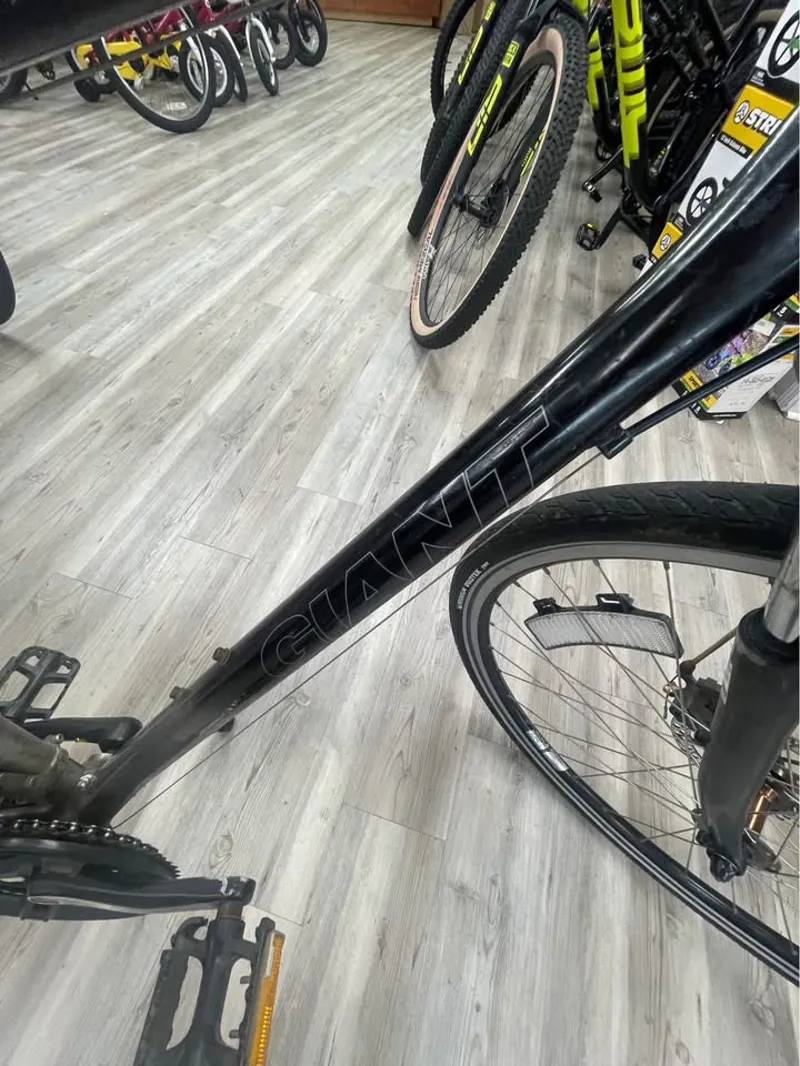 Giant Cypress DX - Large-2