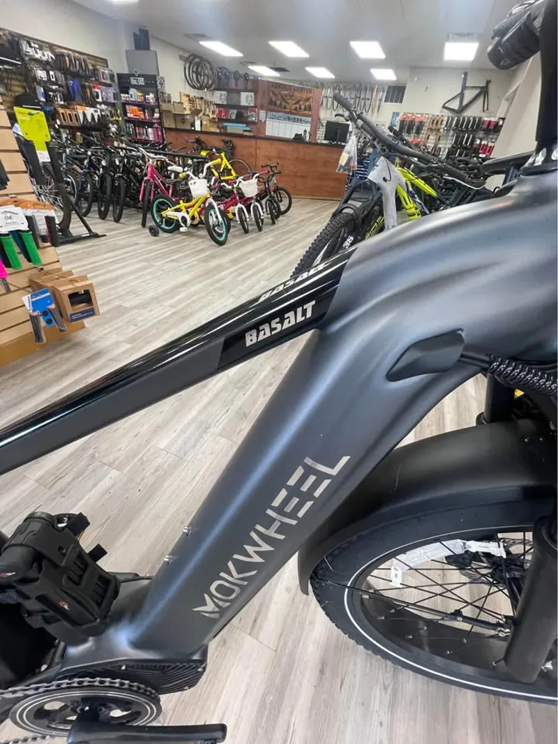 MOKWHEEL Basalt E-Bike with extras-2