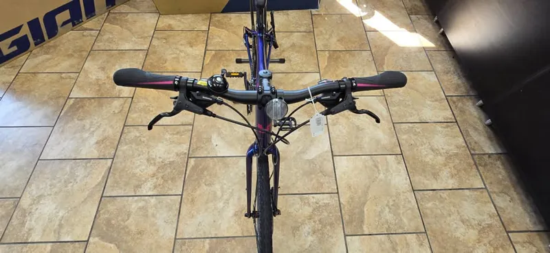 Liv Alight 2 Disc Small - Blue-4