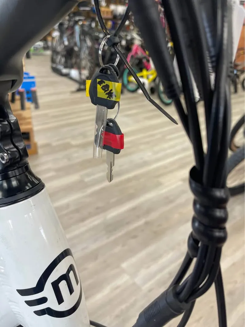 Magnum Cosmopolitan Electric Bike-3