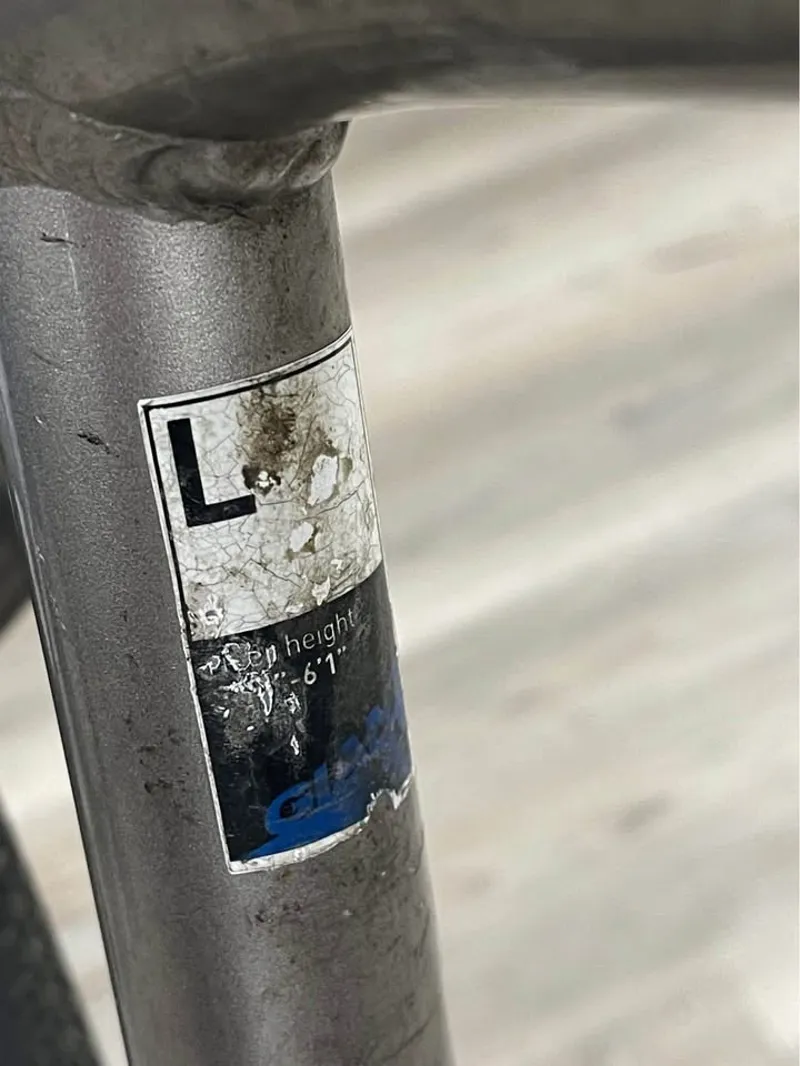 Giant Cypress DX - Large-4