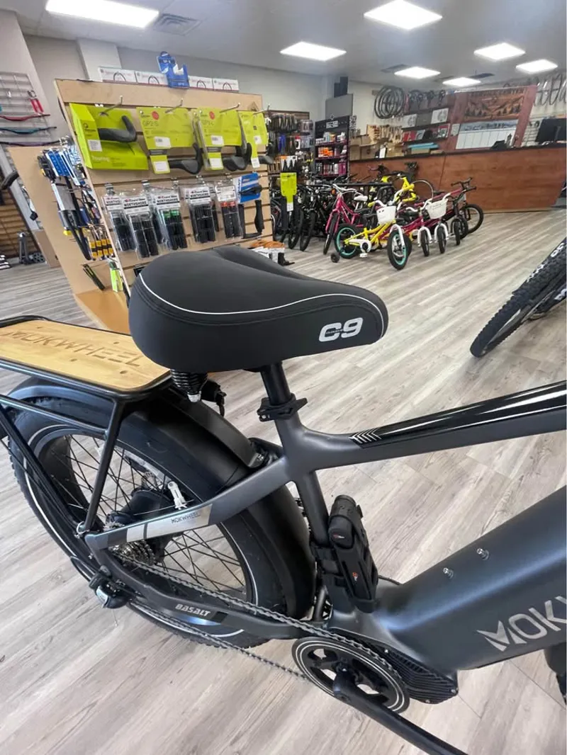 MOKWHEEL Basalt E-Bike with extras-5