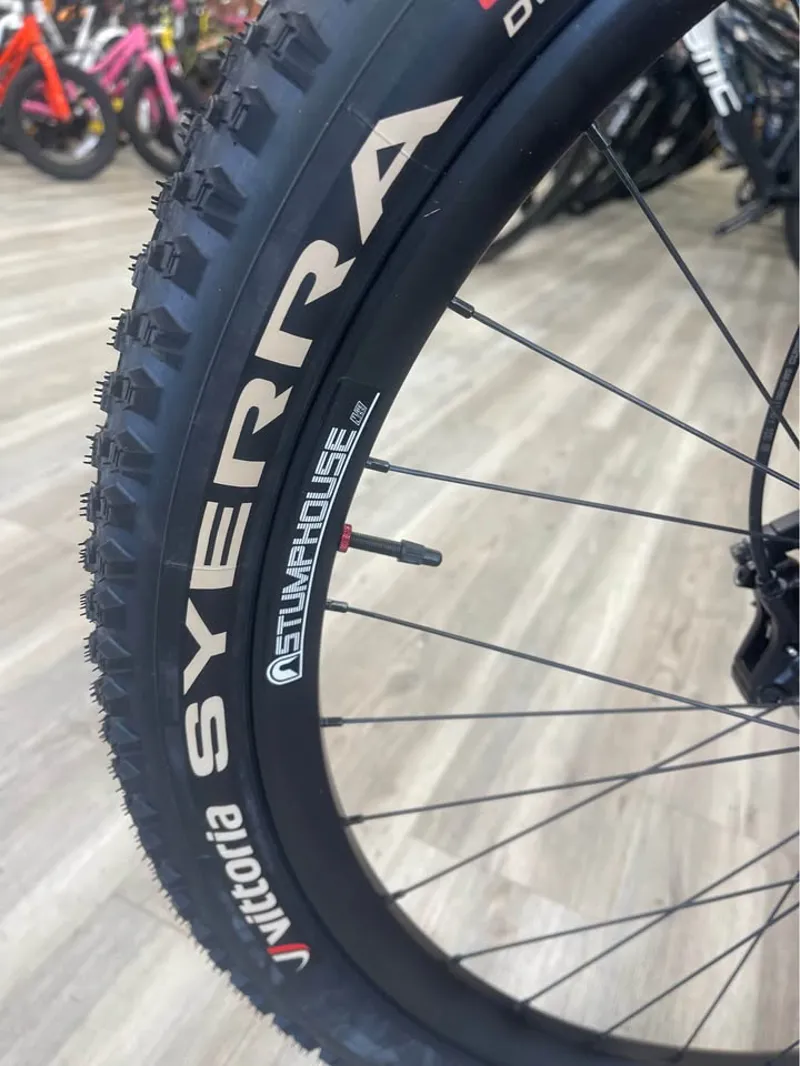 Banshee Phantom Large-5