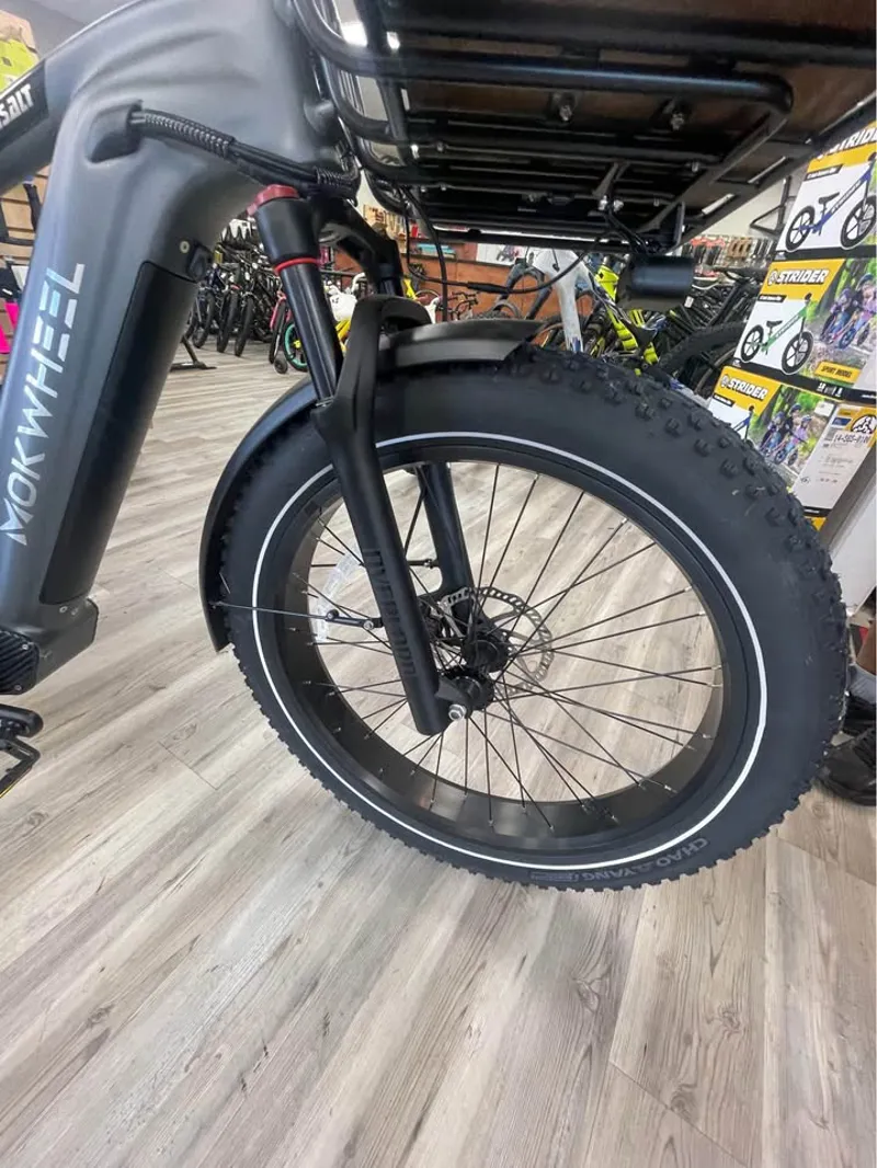 MOKWHEEL Basalt E-Bike with extras-6