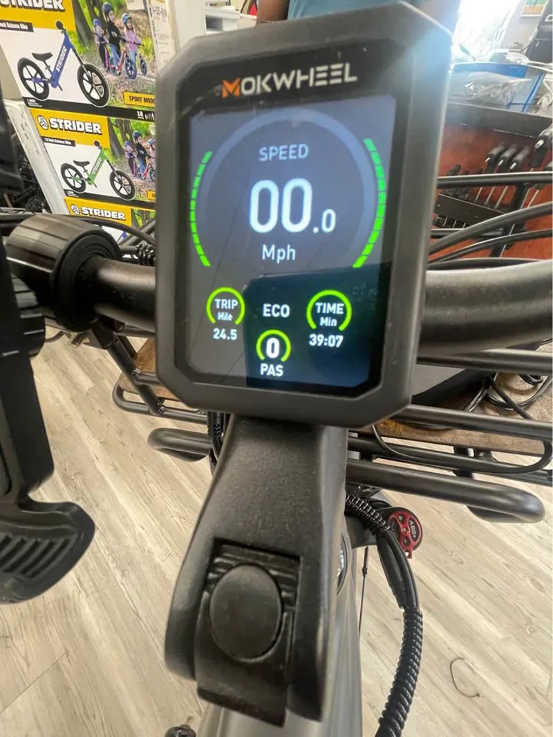 MOKWHEEL Basalt E-Bike with extras-7