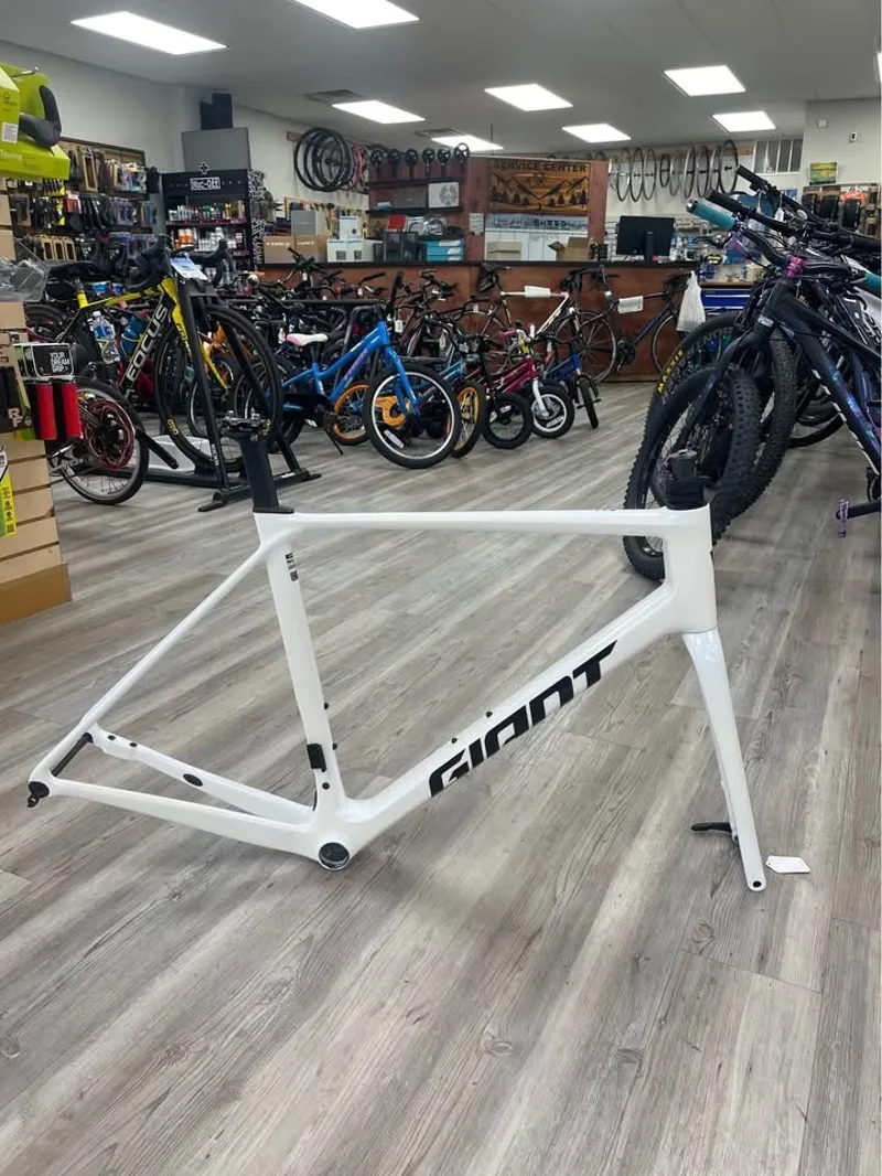 Giant TCR M/L Carbon