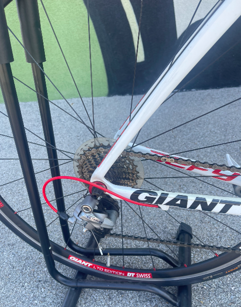 Giant Defy - Size M -1