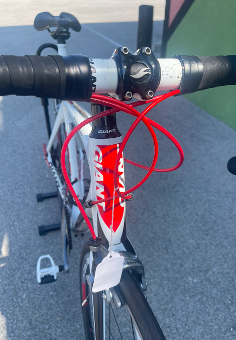 Giant Defy - Size M -3