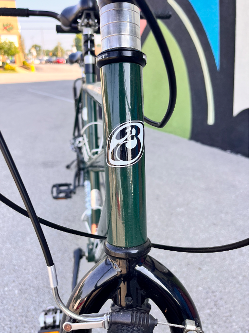 Burley Samba Tandem bike-1