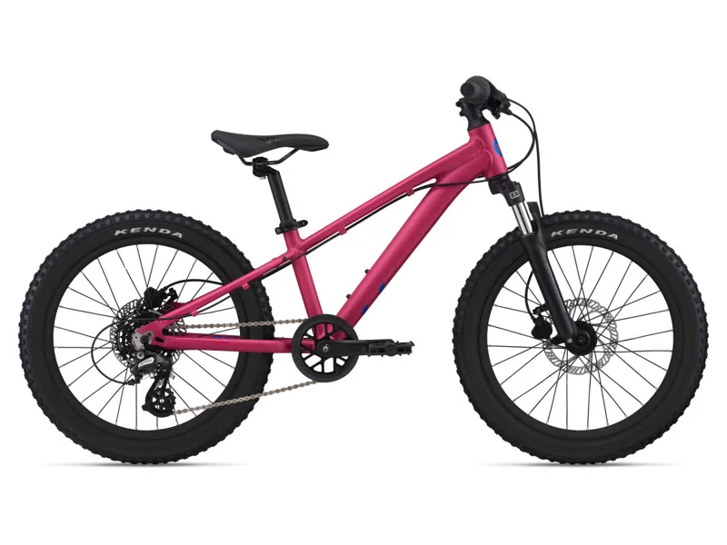 Liv STP 20 FS Kid Trail Bike in Virtual Pink-5