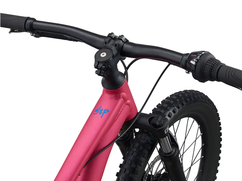 Liv STP 20 FS Kids Hybrid Bike in Virtual Pink-1