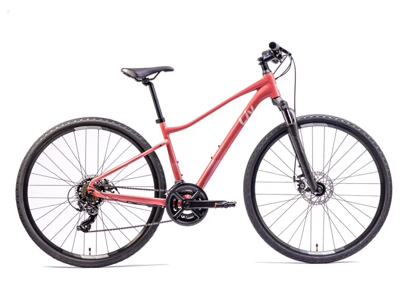 2022 Giant Rove 4 Disc Terra Roza