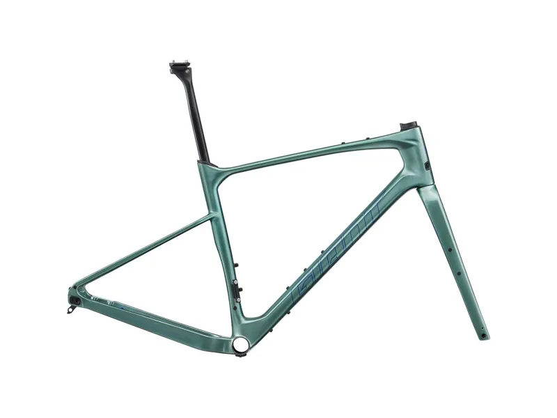 2024 Revolt Advanced Pro Frameset - Misty Forest