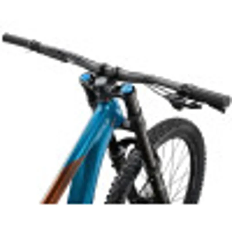 Giant Reign SX - Medium-2