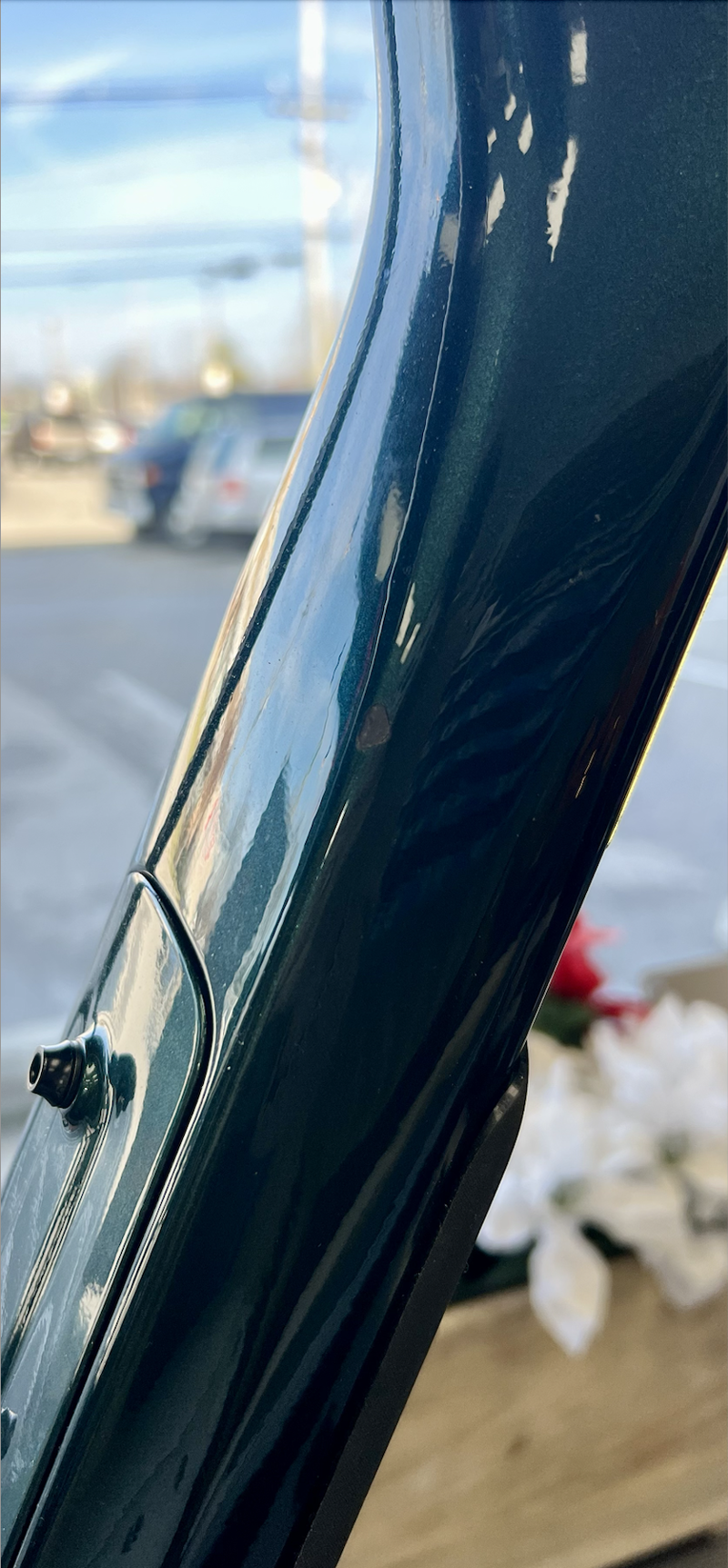 Trance X Advanced SX M Kelp Forest-1