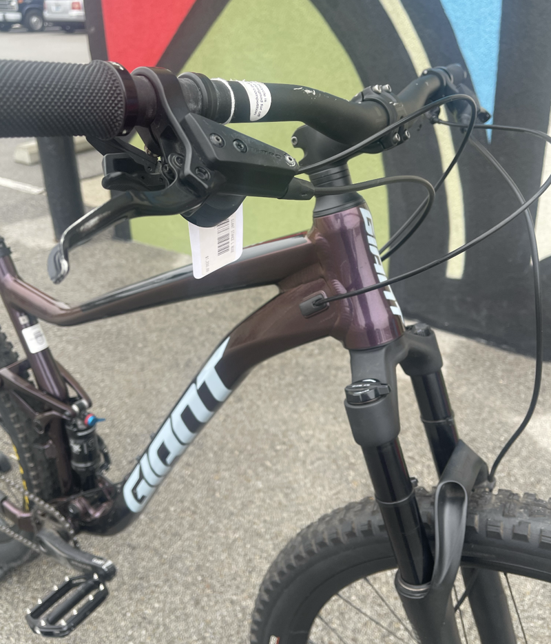 Giant Stance L Rosewood-1