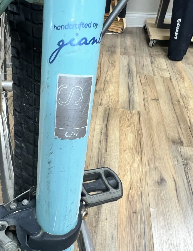 Liv Sedona Sm Teal Cruiser-1