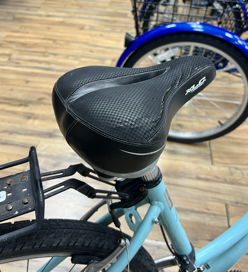 Liv Sedona Sm Teal Cruiser-3