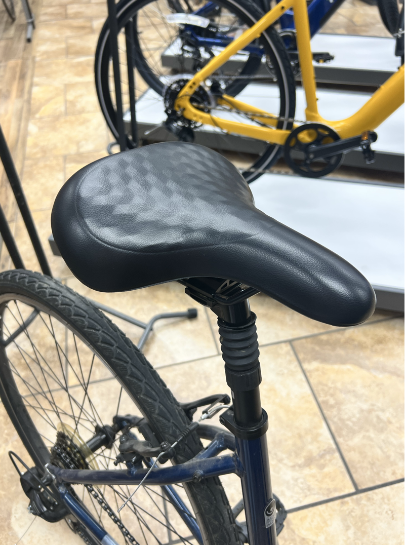 Batch Lifestyle Step-Thru Lg Blue-2