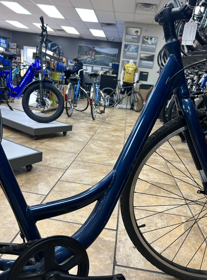 Batch Lifestyle Step-Thru Lg Blue-3