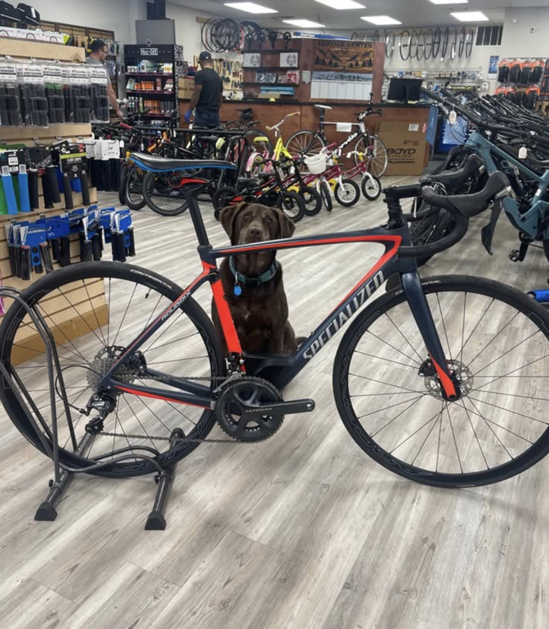 Pre-Owned Specialized Roubaix - 54cm-3