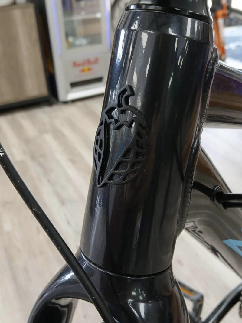 Salsa Journeyer Gravel Bike - 53cm-2