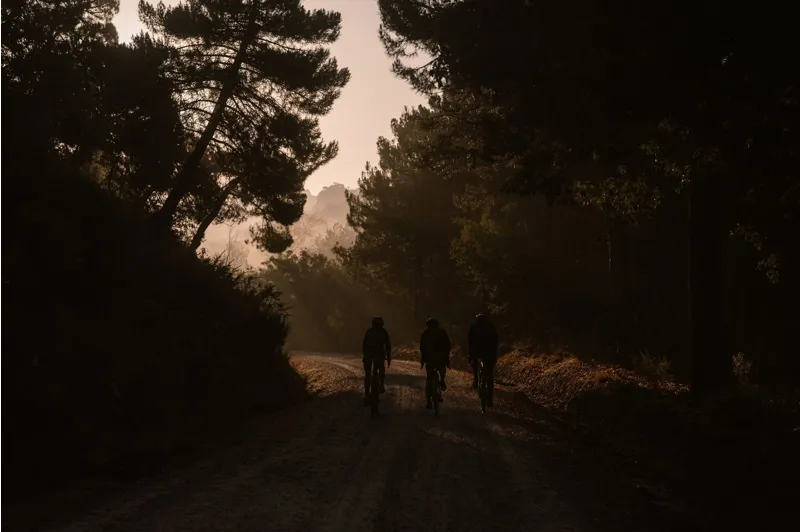 Continental Terra Speed ProTection Tubeless Folding Tire 700x45 in Black SL-3