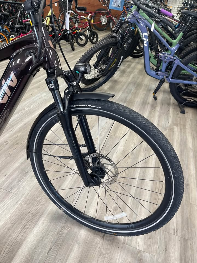 Liv Amiti E+ Small Electric Bike-3