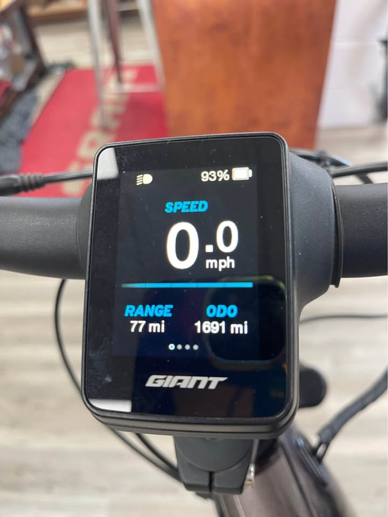 Liv Amiti E+ Small Electric Bike-5