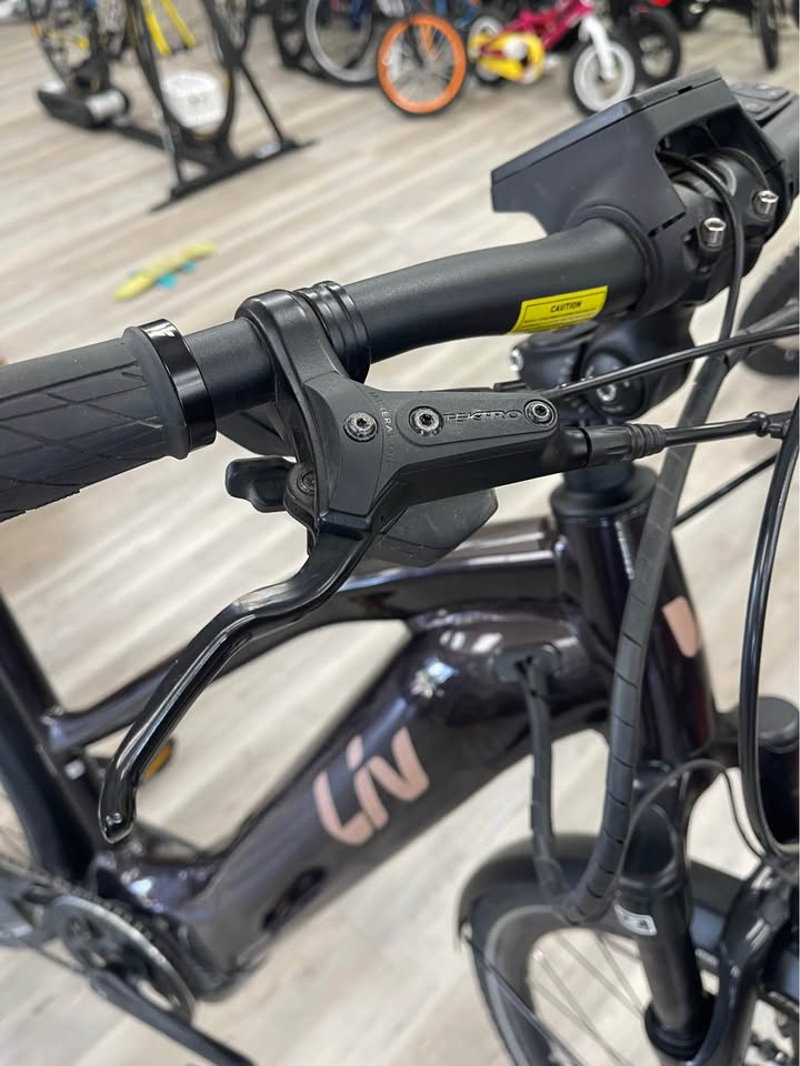 Liv Amiti E+ Small Electric Bike-4