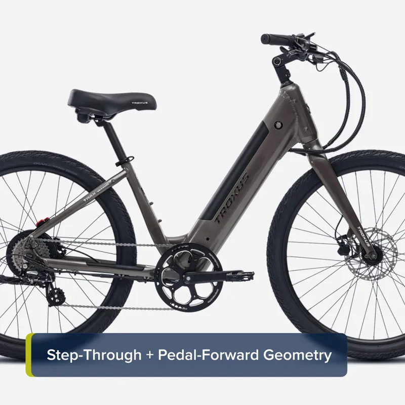 Troxus Trax Whim iQ Step-Thru eCruiser Bike Small in Natural Slate-2